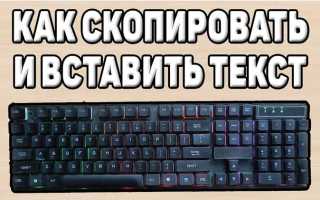 Как на мос ру вставить скопированный текст