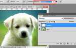 Что делать если фотошоп завис с несохраненной работой