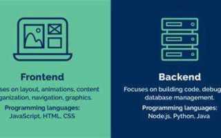 Java или frontend что выбрать