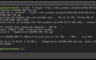 Wget куда сохраняет по умолчанию