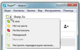 Как проверить связь в скайпе
