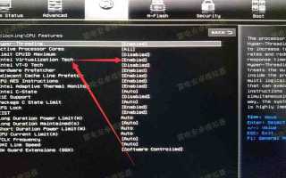 Vt x amd v как включить