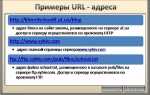 Request url что это