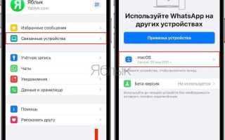Как узнать от кого переслано сообщение в whatsapp