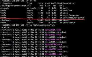 Mysql sock где находится