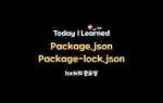 Package lock json для чего