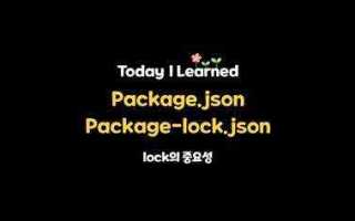Package lock json для чего
