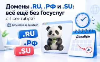 Верификация .RU,.РФ и .SU доменов через Госуслуги переносится на декабрь?