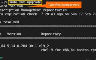 Yum upgrade что делает