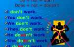 Когда использовать don t а когда not