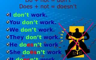 Когда использовать don t а когда not