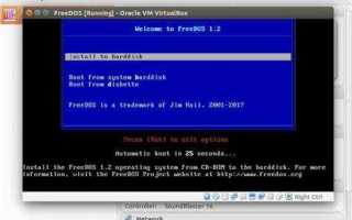 Free dos или windows 10 что лучше