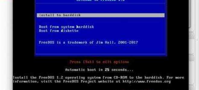 Free dos или windows 10 что лучше