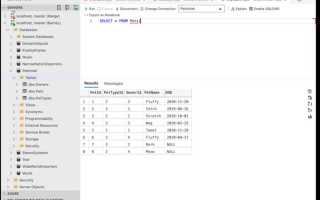 Sql как очистить базу данных