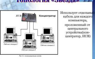 Что необходимо для объединения компьютеров в локальную сеть