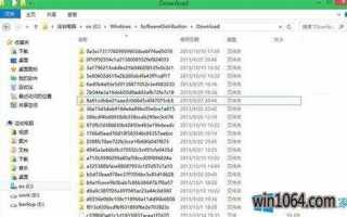 Regid 1991 06 microsoft что это