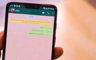 Msg for whatsapp что это