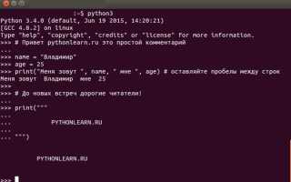 Как задать тип переменной в python