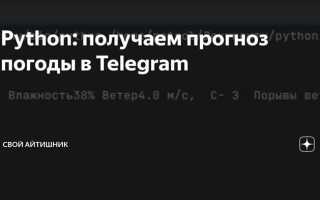 Как сделать прогноз погоды на python