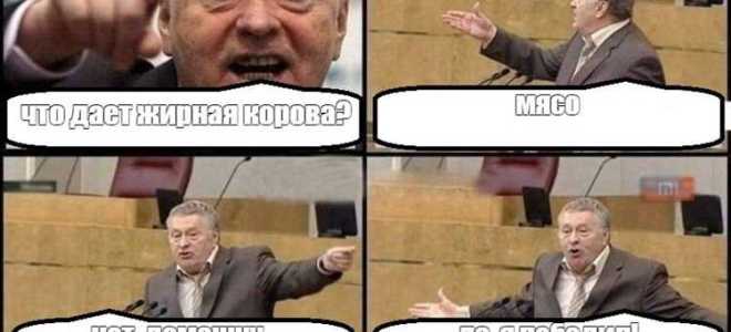Кто скажет слово тот жирная корова