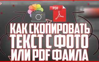 Как скопировать текст из пдф