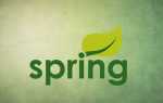 Service spring что это