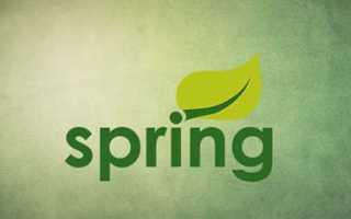 Service spring что это