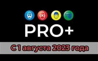 Pro subscription программа что это