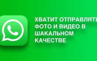 Как на айфоне в вотсапе отправить несколько фоток