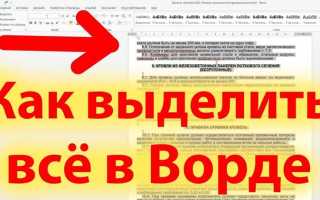 Как выделить маркером в ворде
