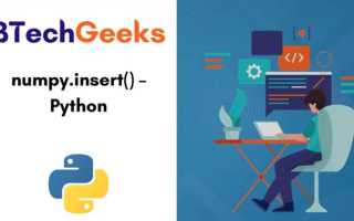 Insert python что это