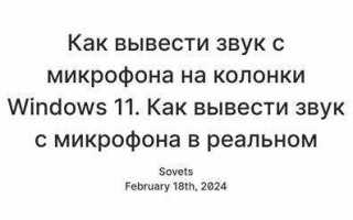 Как вывести звук микрофона на колонки через компьютер