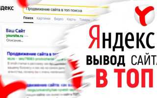 Как искать на сайте через яндекс