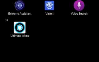 Voice access что это за приложение