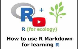 R markdown как пользоваться