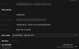 L×Box: от VPN-клиента до экосистемы управления сетевым трафиком