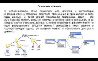 Базы данных какие бывают