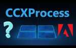 Ccxprocess в автозагрузке что это