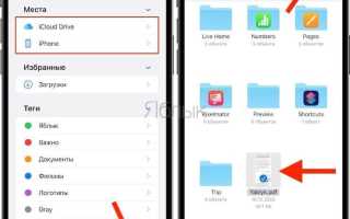 Как отправить pdf файл в whatsapp