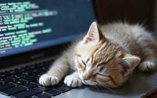 9 конструкций python которые нужно знать