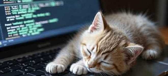 9 конструкций python которые нужно знать