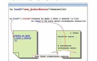 Как сделать прозрачную кнопку в html