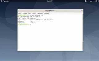 Какую версию debian выбрать