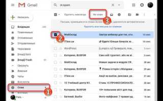 Почему в почте майл не отображаются отправленные письма