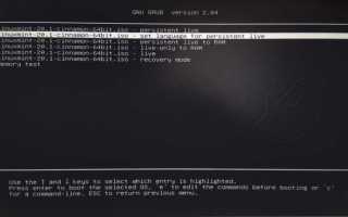Linux mint persistent live usb как сделать