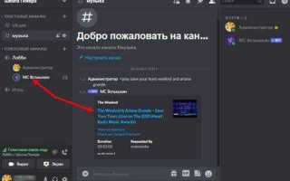 Как посмотреть вложения в дискорде