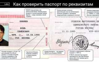 Как зашифровать дату рождения