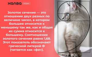 Как проверить является ли число числом фибоначчи