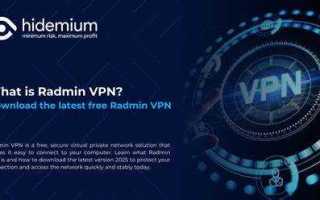 Radmin vpn что это