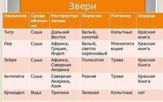 Какое действие мы можем выполнить с таблицей